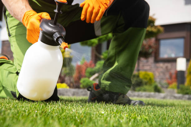Best Best Pest Control Companies  in Al Creek, CO