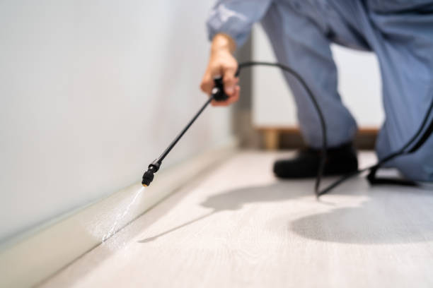 Pest Control Cost in Coal Creek, CO