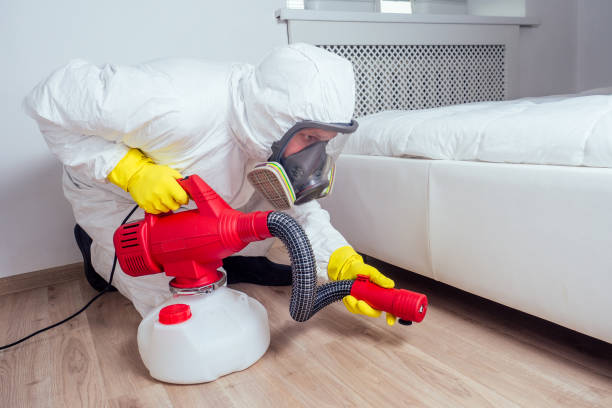 Reliable Coal Creek, CO Pest Control Solutions