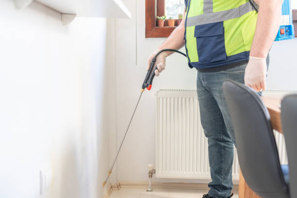 Best Affordable Pest Control Services  in Al Creek, CO