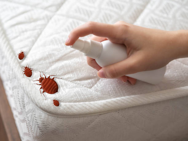 Best Commercial Pest Control Services  in Al Creek, CO
