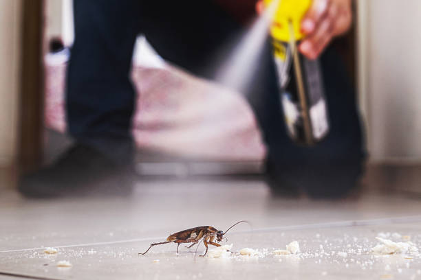 Best Best Pest Control Companies  in Al Creek, CO